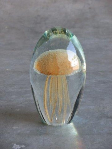 Jellyfish, amber M